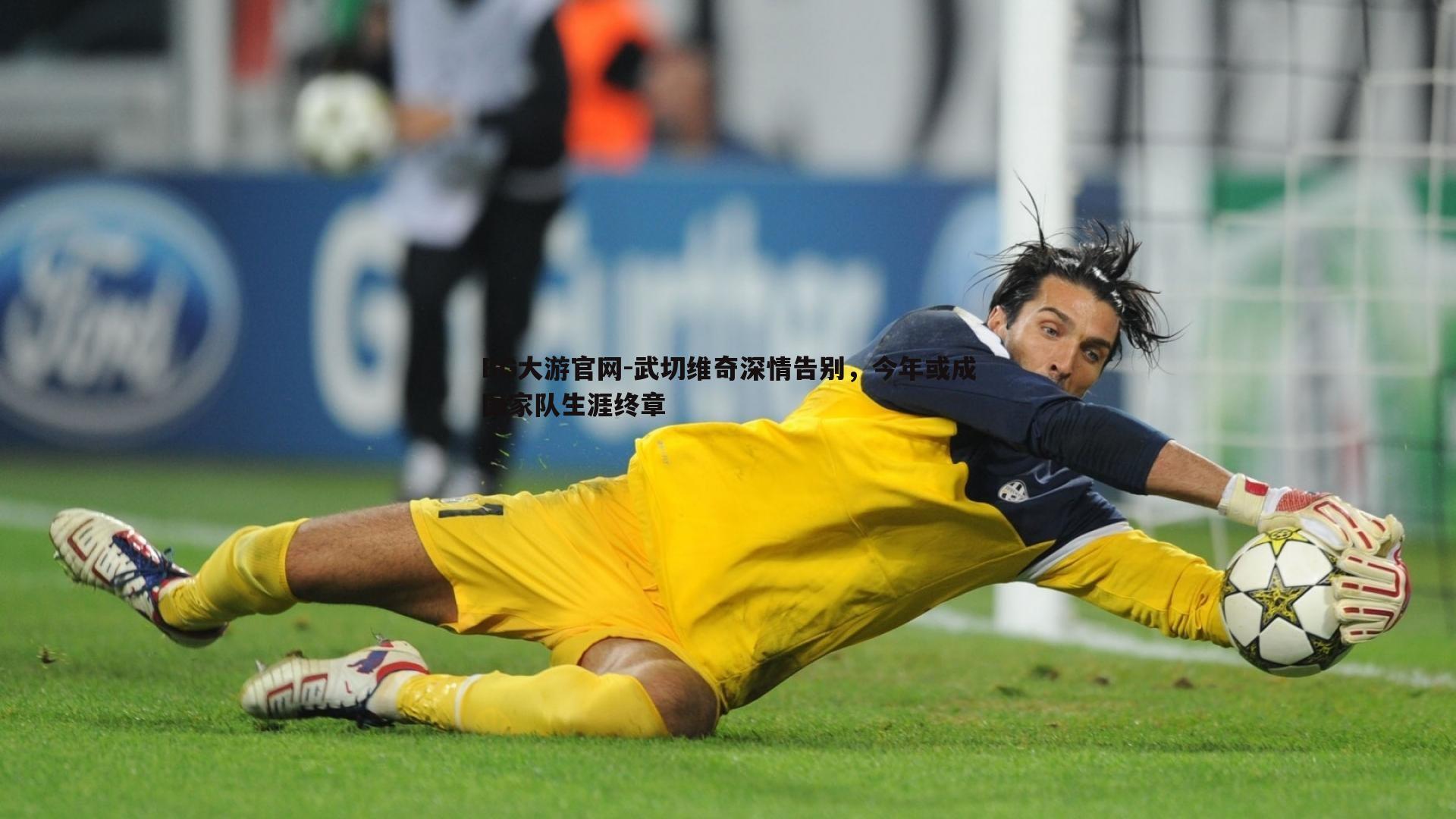 武切维奇深情告别,今年或成国家队生涯终章